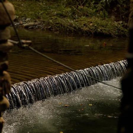 перлина лумшор Apartment