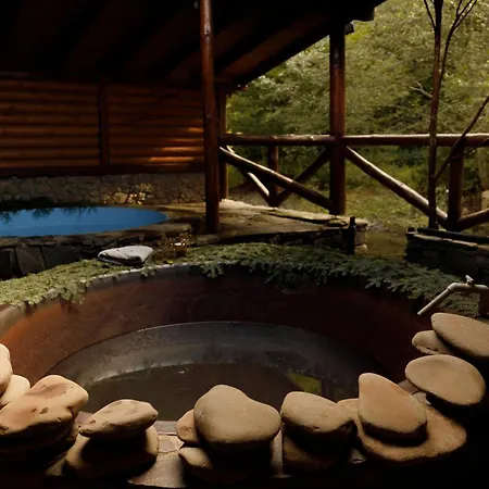 перлина лумшор Lumshory