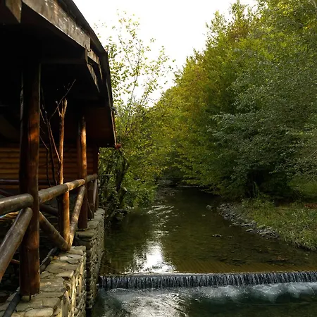 Apartment перлина лумшор *