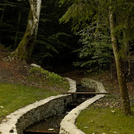 перлина лумшор Апартаменты *