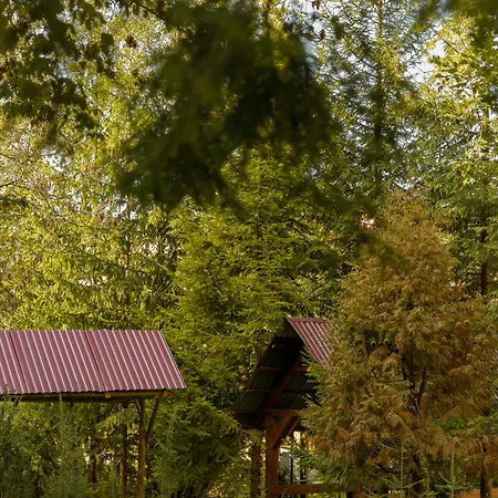 перлина лумшор